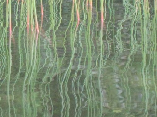 Meditation, flowing mudras and yoga @ Meditation, flowing mudras and yoga